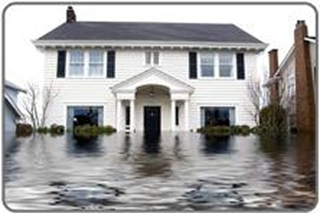 Flood Cleanup Surprise, AZ  offers Water Damage, Flood Service, Water Extraction , Flood  Company, Water Restoration, Flood Extraction, Water Removal, 24 Hour Emergency, Mold Repair and Flooded Home Near Me in Surprise, AZ 
